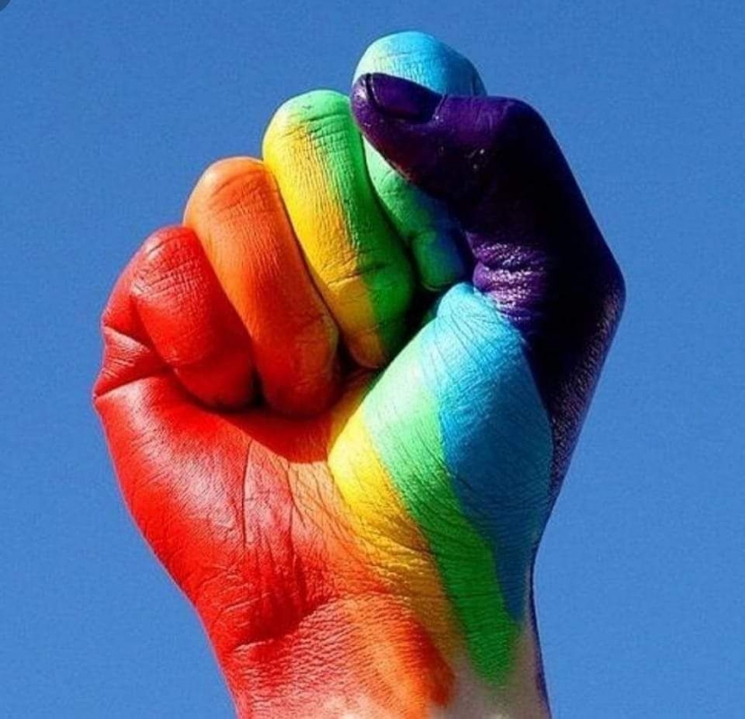 28 JUNIO D&Iacute;A INTERNACIONAL DEL ORGULLO LGBT+